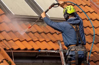 Démoussage et hydrofuge de toiture à Lortet